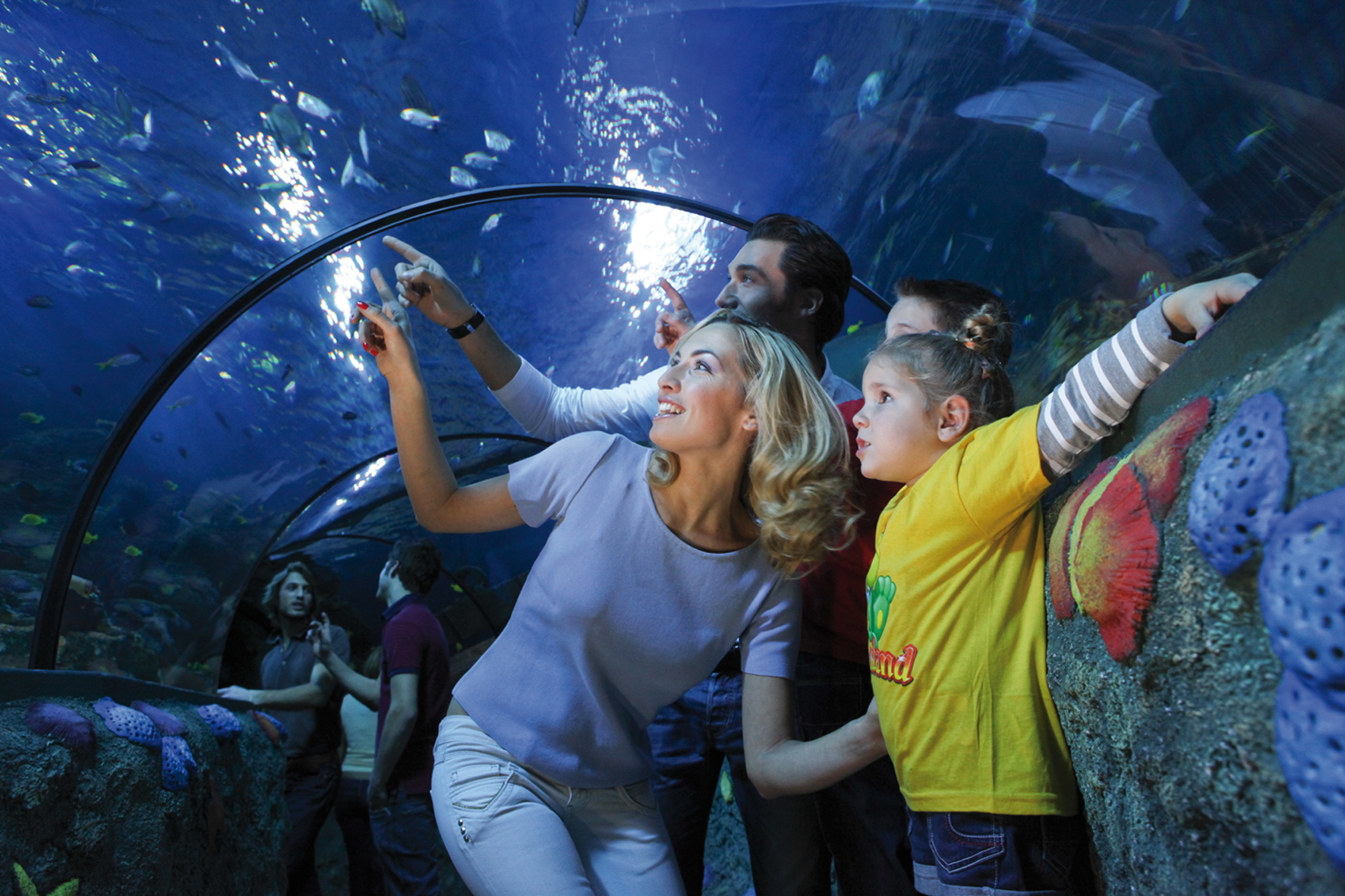 Ozean-Tunnel - Gardaland SEA LIFE Aquarium