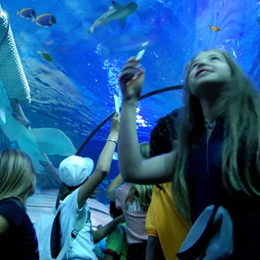 Gardaland SEA LIFE Aquarium - Attraversa il tunnel oceanico