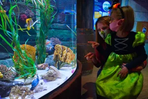 Gardaland SEA LIFE Aquarium