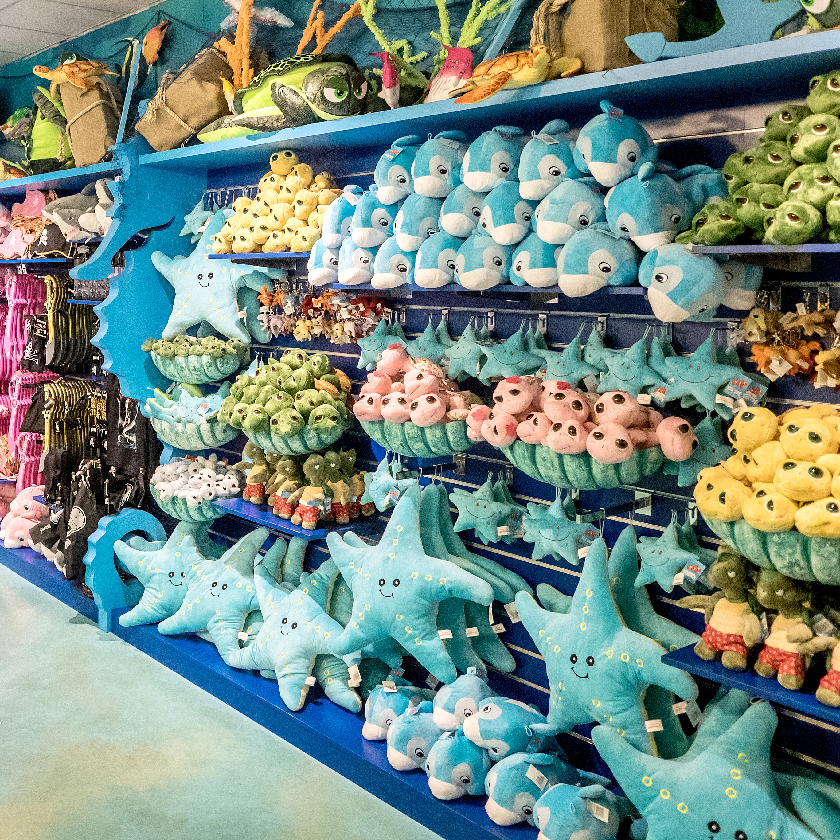 Gardaland SEA LIFE Aquarium - Shop