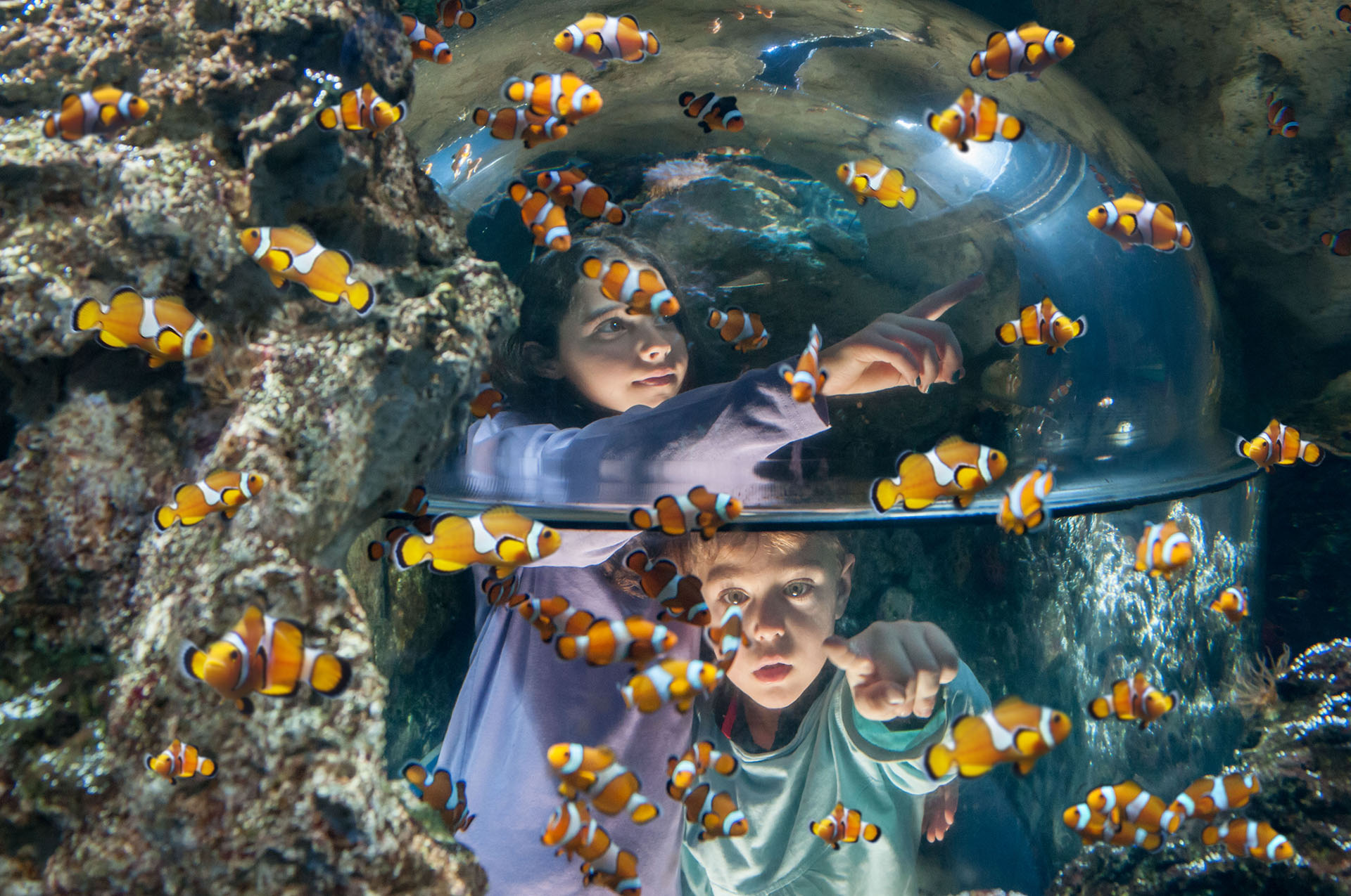 Gardaland SEA LIFE Aquarium - Guests