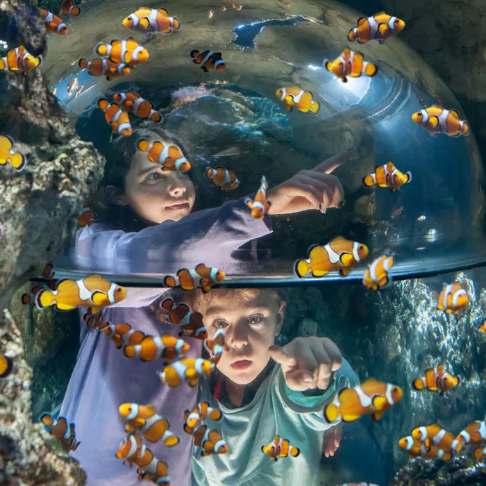 Gardaland SEA LIFE Aquarium - Ospiti