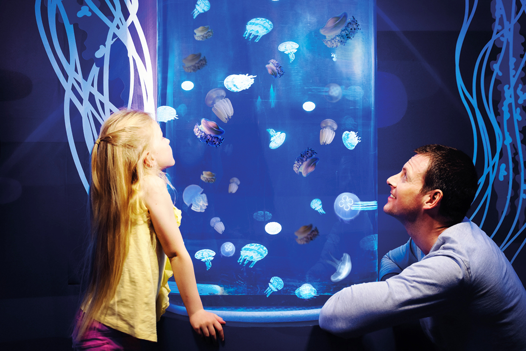 Gardaland SEA LIFE Aquarium - Jellyfish & Conservation