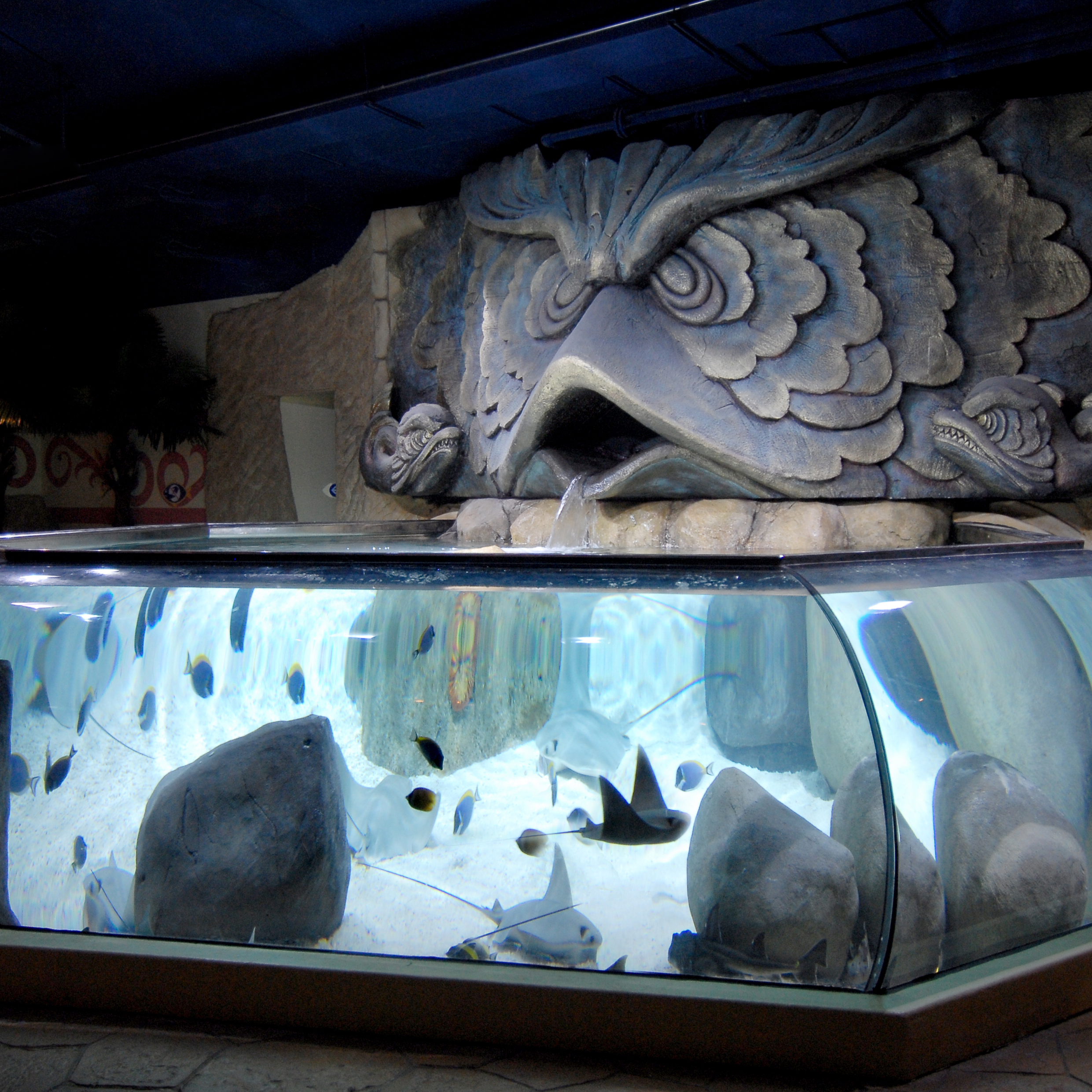 Gardaland SEA LIFE Aquarium - Laguna Tropicale