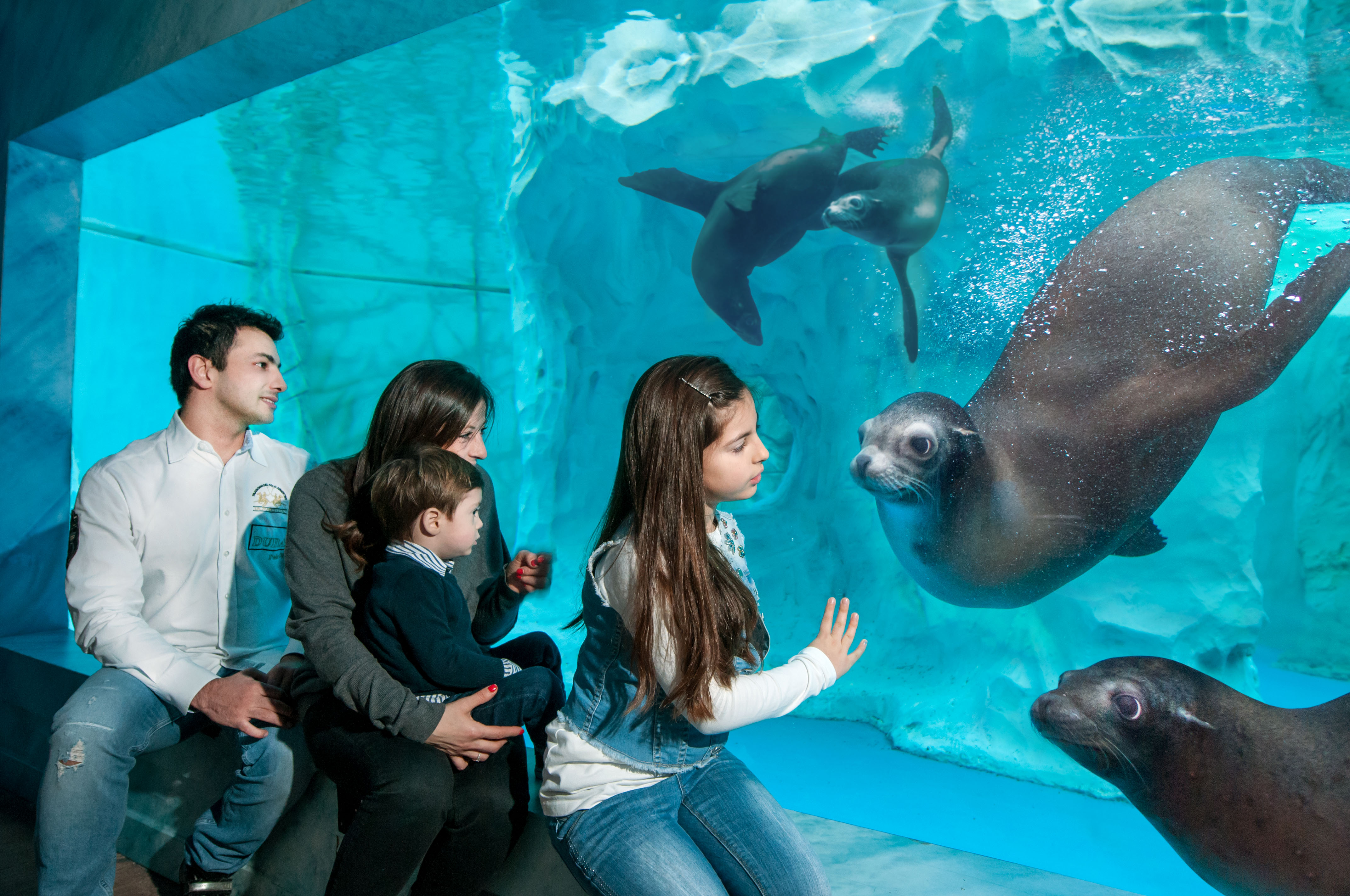 Gardaland SEA LIFE Aquarium - A un passo dai leoni marini