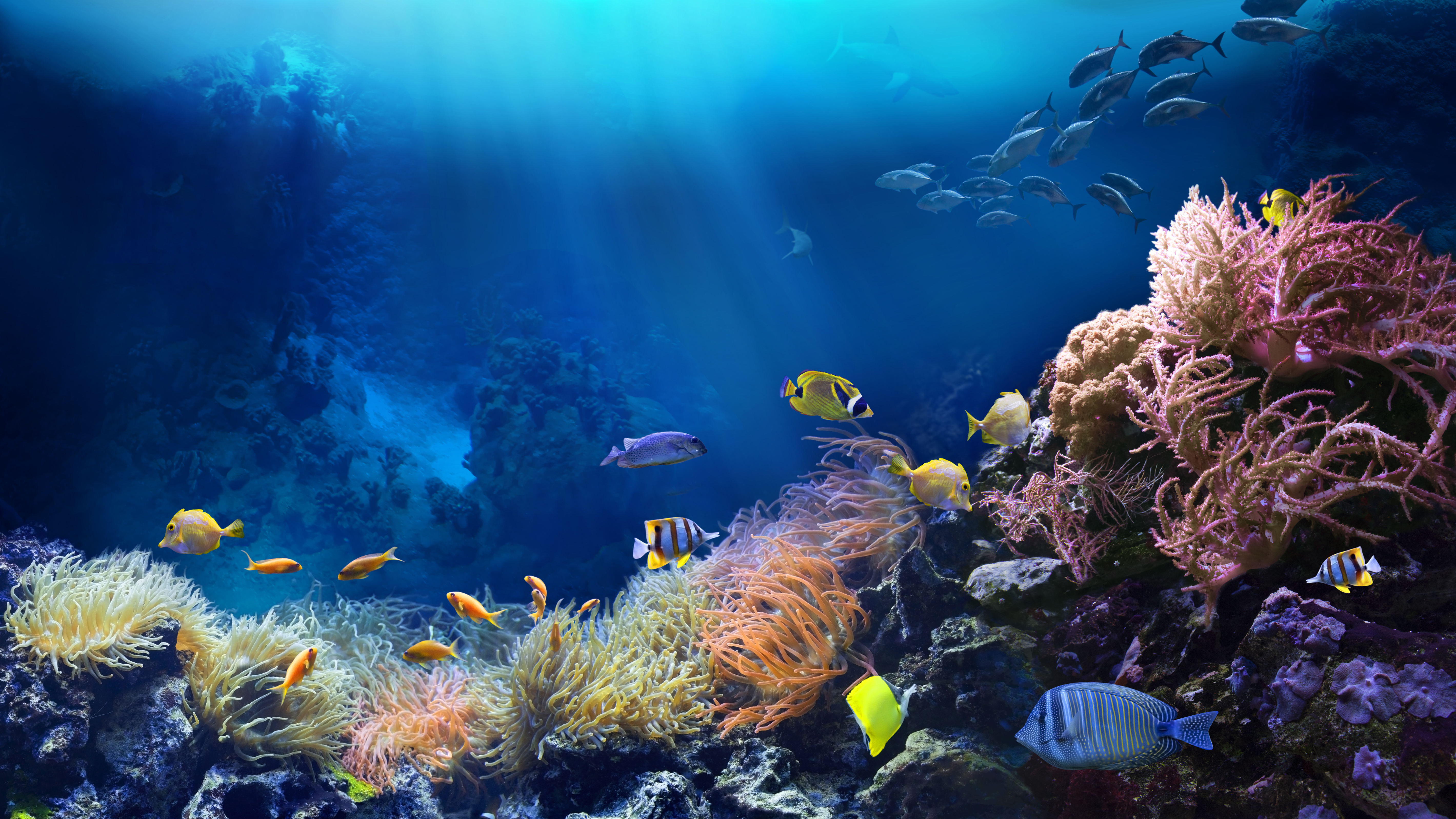 Gardaland SEA LIFE Aquarium - Becken mit Fischen