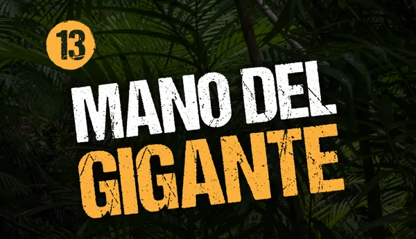 13 Mano New 1920X1371
