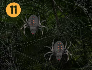 11 Spider 1920X1371